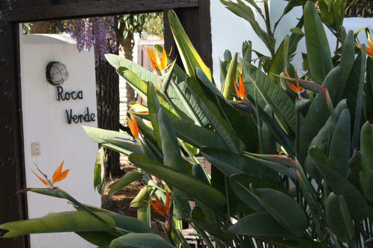 Roca Verde, Boutique Bed&Breakfast Alhaurín de la Torre Extérieur photo