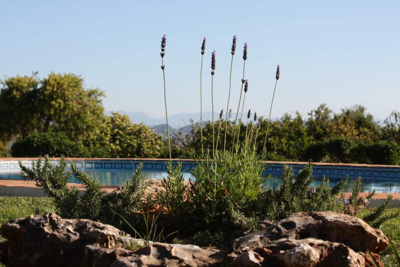 Roca Verde, Boutique Bed&Breakfast Alhaurín de la Torre Extérieur photo